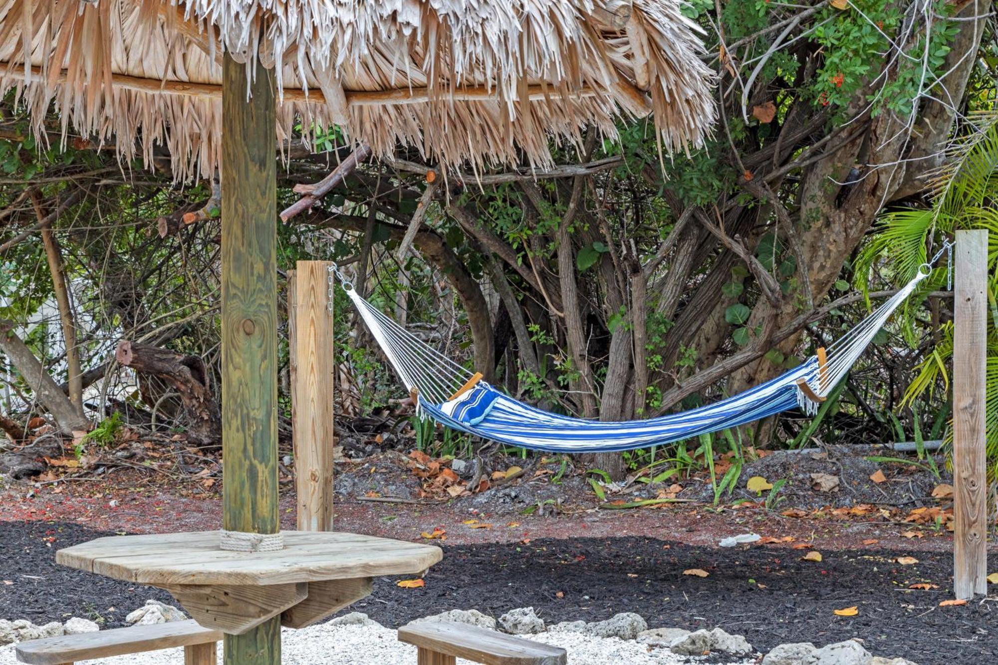 Captain Ed'S - Charming Studio At Palmview Of Sanibel With Bikes المظهر الخارجي الصورة